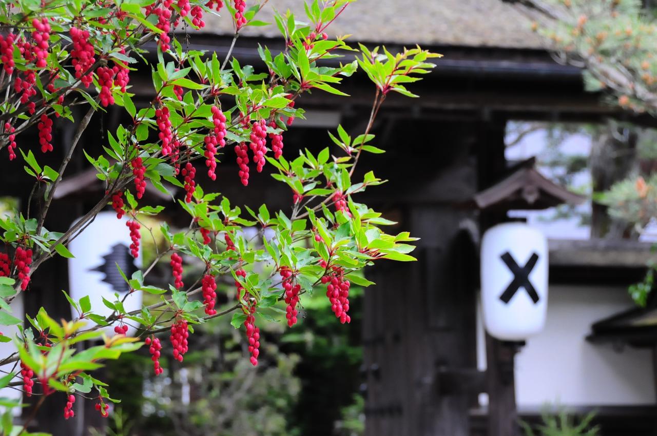 Hotel Sanboin Koyasan Exterior foto